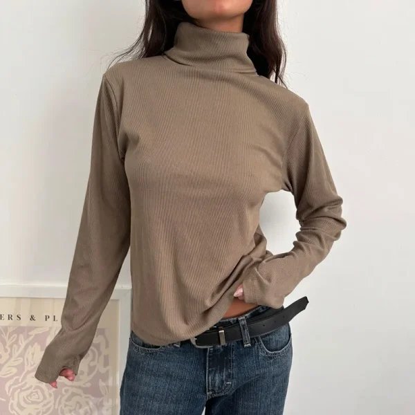 Women's Long Sleeve Casual Going Out Basic Shirts Turtleneck Ribbed Knit Tops