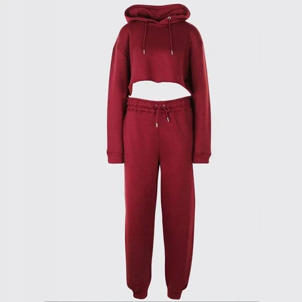Unisex Sweat Suit Tracksuit Blank Cotton Fleece Men Women Sweatpants Jogger and Hoodie Two Piece Set - Image 4